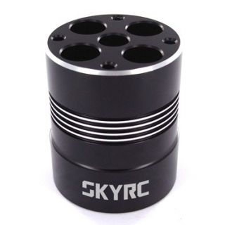 SK-600069-04-SkyRC Shock Holder - Black