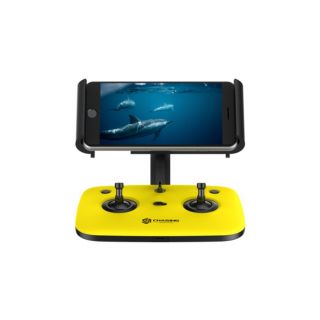 CH-DORY011-Chasing Dory Remote Controller For Dory